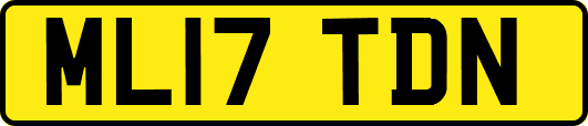 ML17TDN