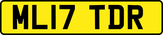 ML17TDR