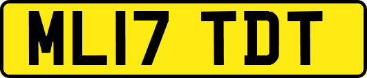 ML17TDT