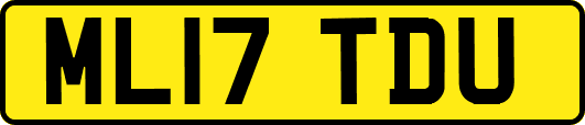 ML17TDU