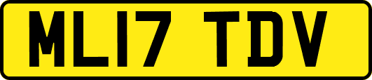 ML17TDV
