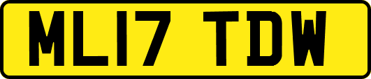 ML17TDW