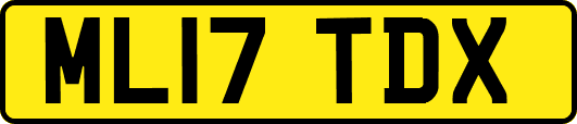 ML17TDX