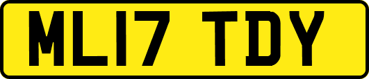 ML17TDY