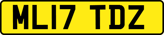 ML17TDZ