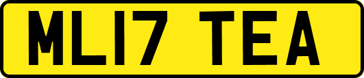 ML17TEA