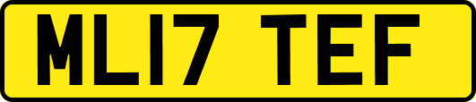 ML17TEF