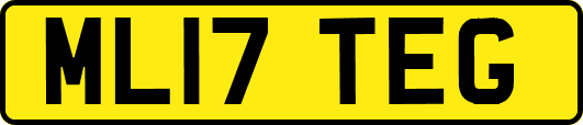 ML17TEG