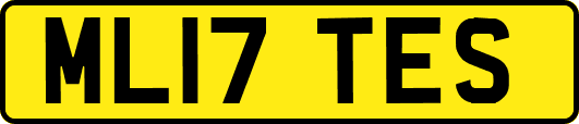 ML17TES