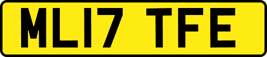 ML17TFE