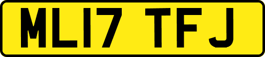 ML17TFJ