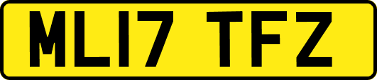 ML17TFZ