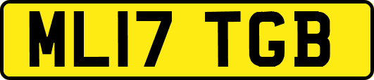 ML17TGB