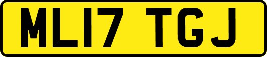 ML17TGJ