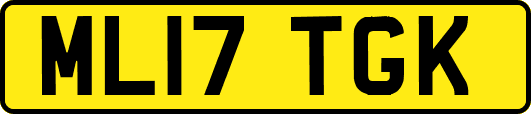 ML17TGK