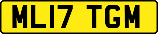 ML17TGM