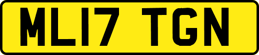ML17TGN