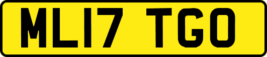 ML17TGO