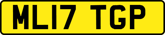 ML17TGP
