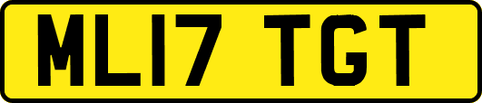 ML17TGT
