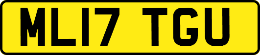 ML17TGU