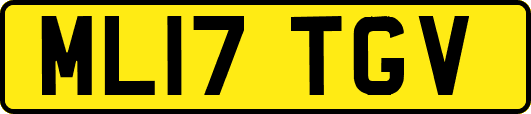 ML17TGV