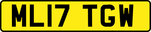 ML17TGW