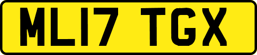 ML17TGX