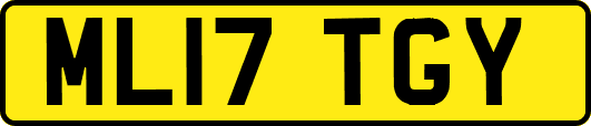 ML17TGY