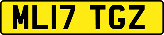 ML17TGZ