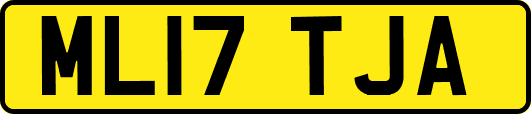 ML17TJA