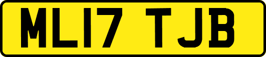 ML17TJB