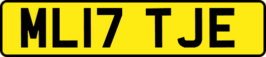 ML17TJE