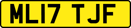 ML17TJF