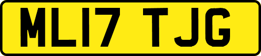 ML17TJG