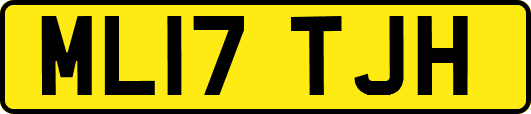 ML17TJH