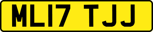 ML17TJJ