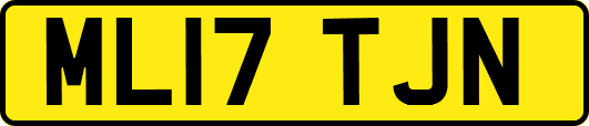 ML17TJN