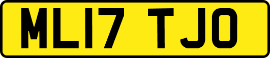 ML17TJO
