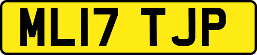 ML17TJP