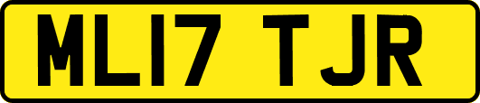 ML17TJR