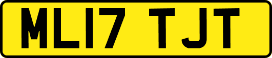 ML17TJT