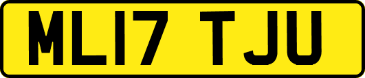 ML17TJU