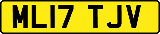 ML17TJV