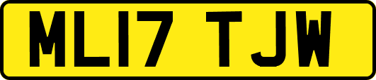 ML17TJW