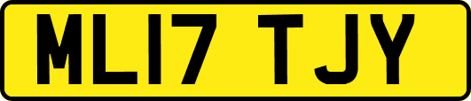 ML17TJY