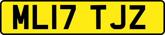 ML17TJZ