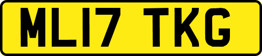 ML17TKG