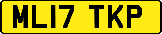 ML17TKP