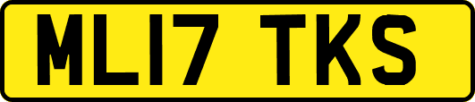 ML17TKS